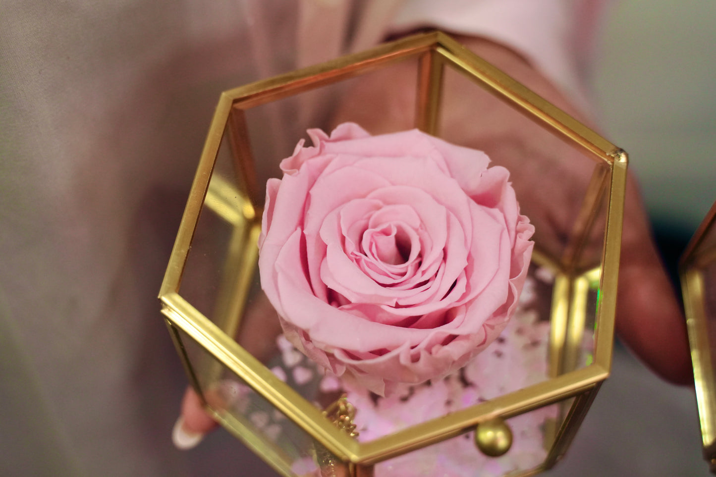 Single Rose Case
