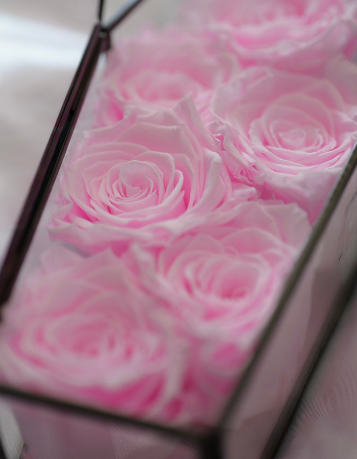 Glass Coffin