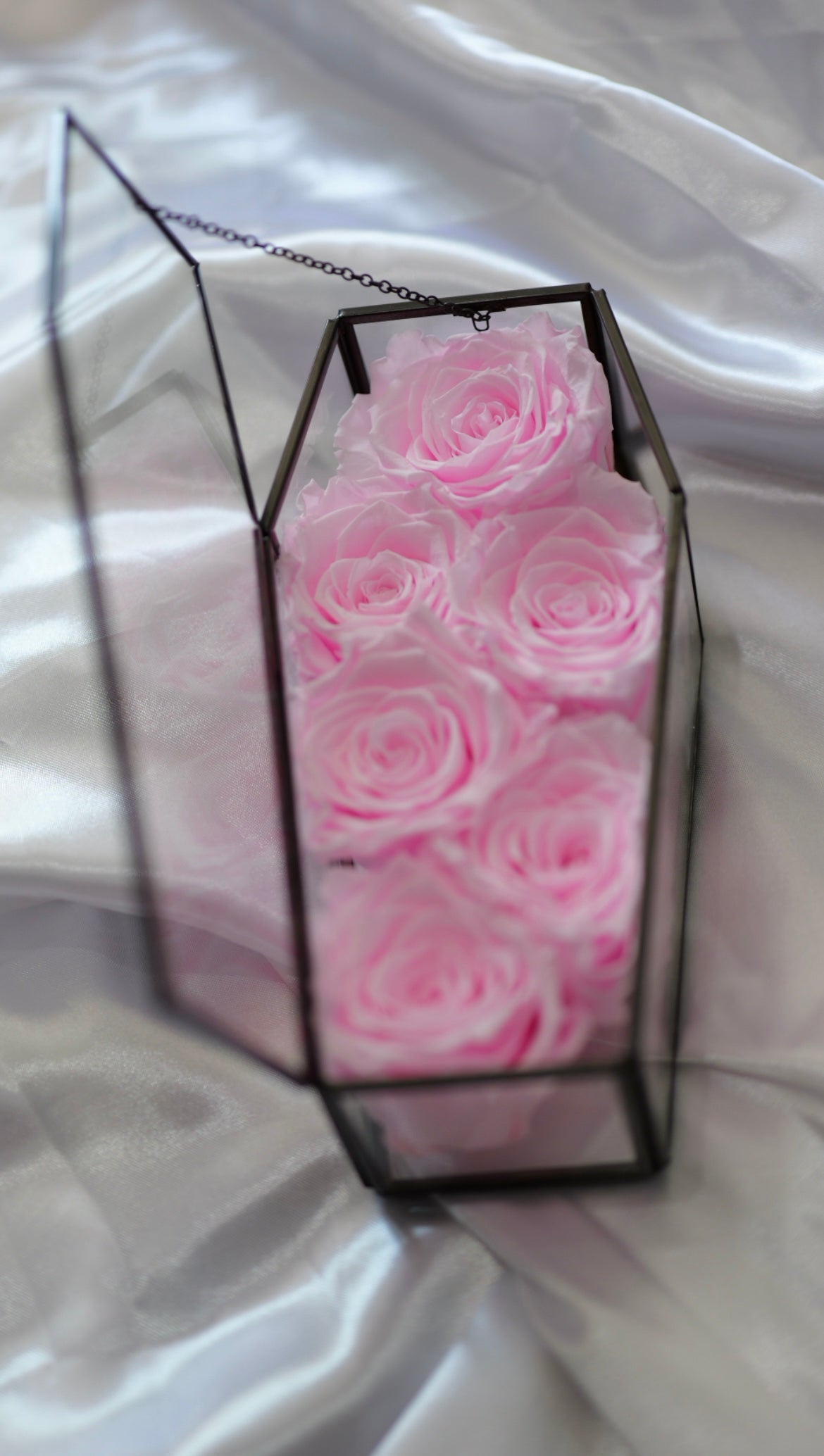 Glass Coffin