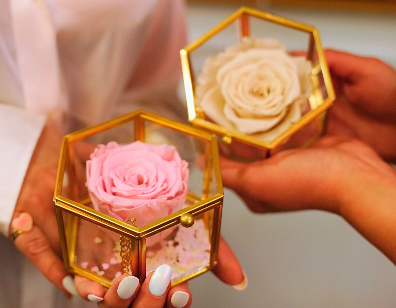 Single Rose Case