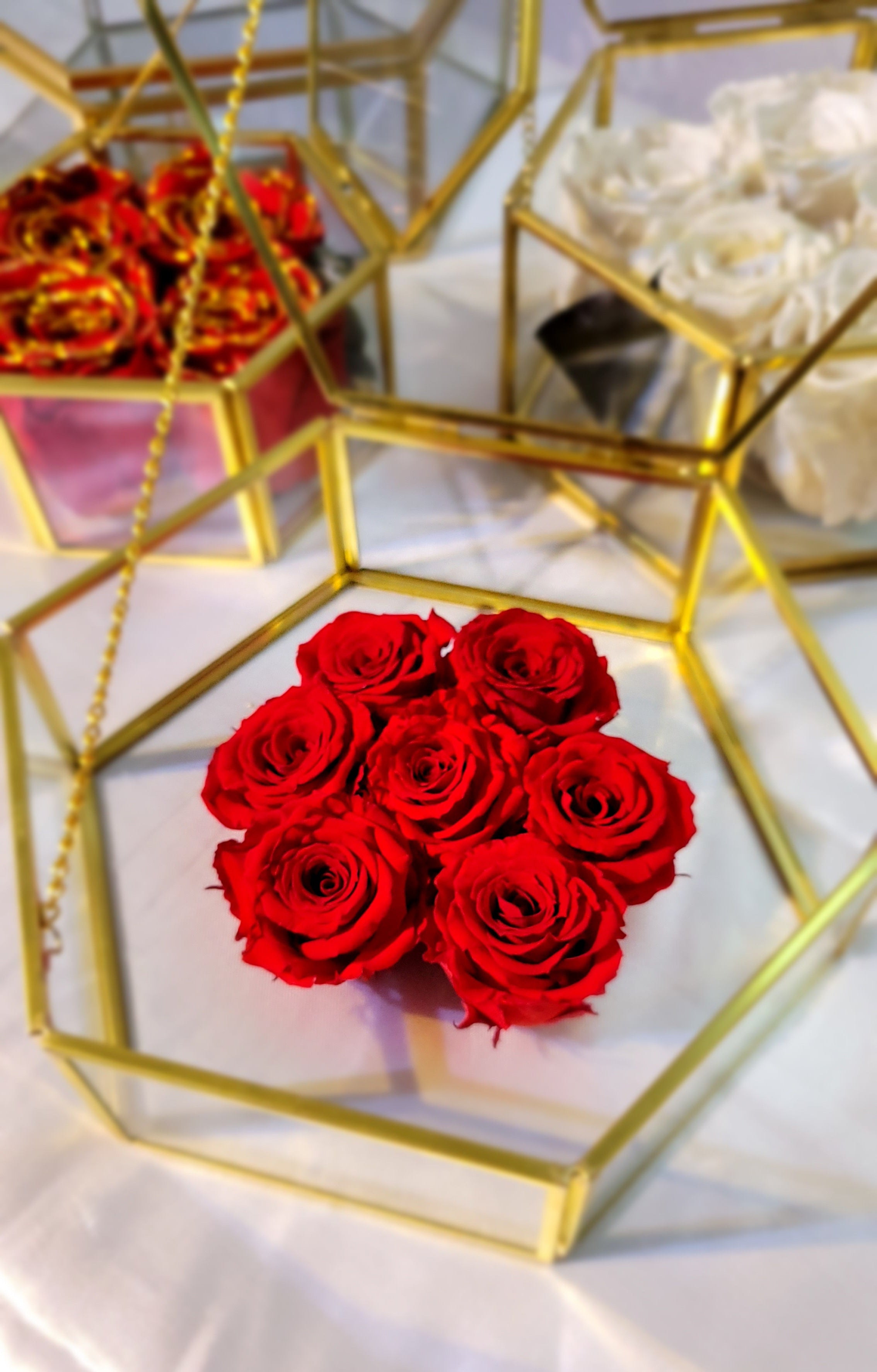 The Rose Maven - All Rights Reserved red mini roses