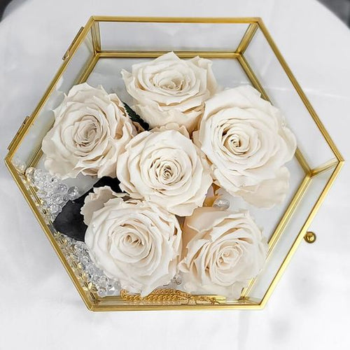 Large Hexagon Case Ivory