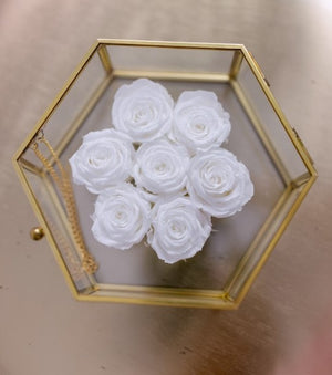 Open image in slideshow, Medium Glass Hexagon
